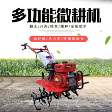 重慶蔬菜大棚旋地機 開溝翻松土機型號 微耕機