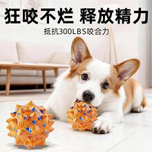 柯基狗狗玩具球洁齿磨牙实心耐咬小狗解闷神器宠物防拆家中大型犬