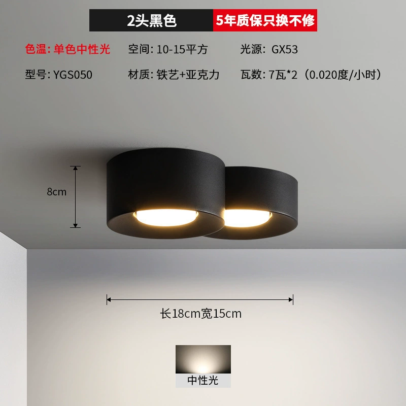 Mounted modern and minimalistic lights for corridor, ceiling light, LED lamp