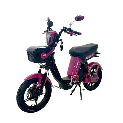 Cross-Border Export Electric Motorcycles, Elektrikli motosikletlər