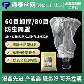 跨境植物保护网蔬菜果园农用防虫网纱网大棚果蔬种菜60全新料