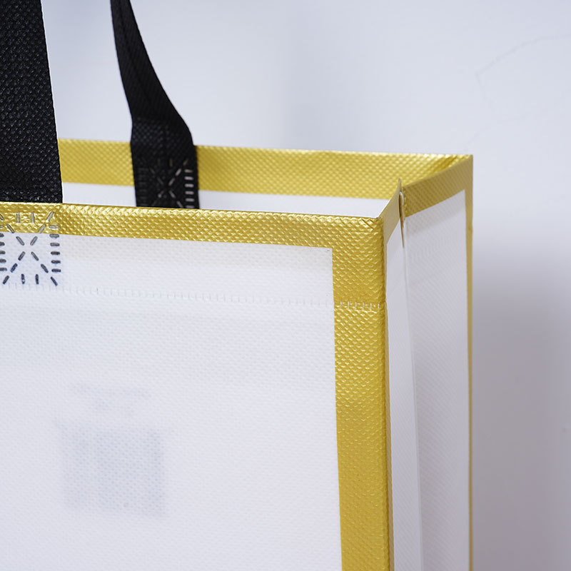 Tienda de ropa no tejida bolsa de mano bolsa de regalo para ropa de embalaje ecológico compras ropa de mujer personalizada al por mayor
