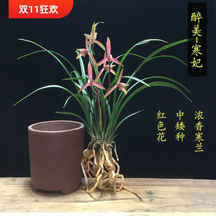 �m���缚�~���m ����֮�����㻨�а��N�҃Ȼ��ܾGֲ���� ��������