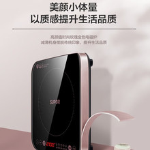 �K����늴Št����2100W������๦���������󳴲� C21-IC20����