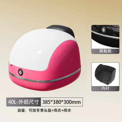 Storage Box for Electric Vehicle | Electric car tail box - plum-white-key-lock-free-lining