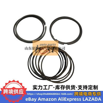 Piston, piston ring, piston pin Hyundai Kia Engine Ring