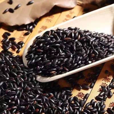Black rice Northeast Porridge selected Black glutinous rice Farm high quality Grain Cereals rice wholesale New On behalf of