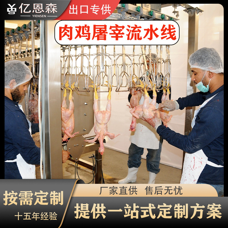 家禽屠宰设备肉鸡屠宰流水线杀鸡设备家禽屠宰机械杀鸡流水线