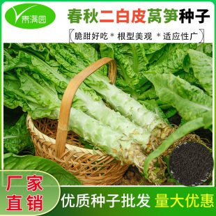 ���n�S�N�Ӳ˷N�C�S�n�ķN�����������ͺ���S��Ƥ�n�S�t�n�S�N��