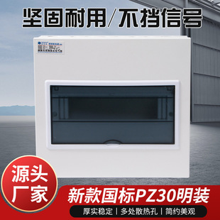 ����PZ30���b�������ÿ��_���҃������������b������OEM����
