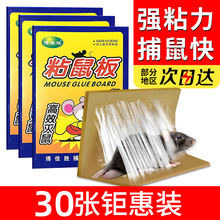 粘鼠板老鼠贴粘老鼠胶杀鼠捕鼠器H