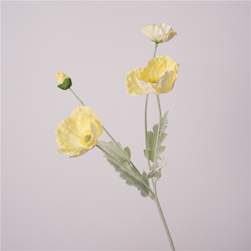 Moisturizing Poppy-Yellow