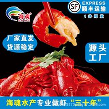 ���rβ�Y��Դ�^���S �r���ك����r ������ü�ͥ�۲���؛�ͶY���l