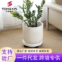 大号落地客厅大口径镁