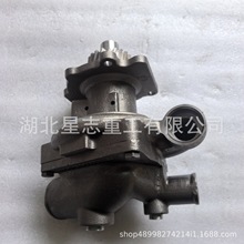 4299030湖北星志重工M11,QSM11,ISM11发动机零部件水泵抽水泵