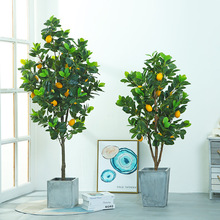果樹盆栽北歐綠植檸檬樹橘子樹樹室內落地假帶果客廳裝飾擺件
