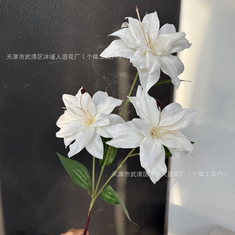 3D 사유리