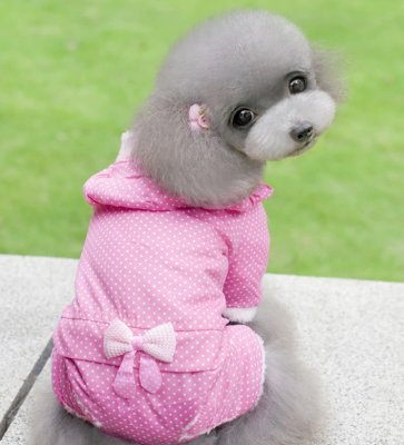 Pequeño perro mediano Año Nuevo perro gato suministros para mascotas ropa Otoño e Invierno cuatro pies ropa de algodón acolchado ropa de transformación fábrica al por mayor
