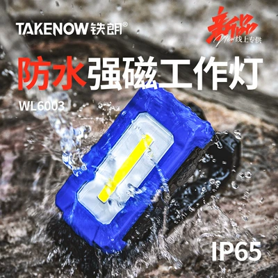 Industrial Inspection Light, Waterproof and Durable – İşçi projektorları