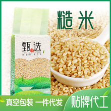 ����500��հ��b�|�����ײ��������s�Z�ּZ������ɫ��������l