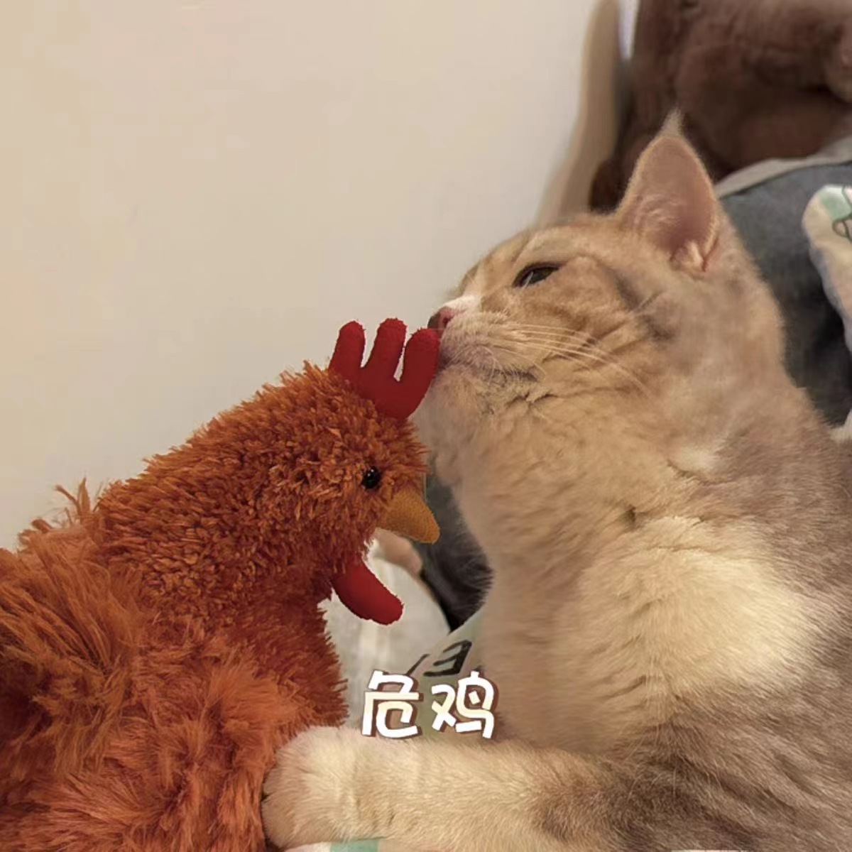 CECIL HEN CLOONEY COCK 봉제 인형 감압 장난감