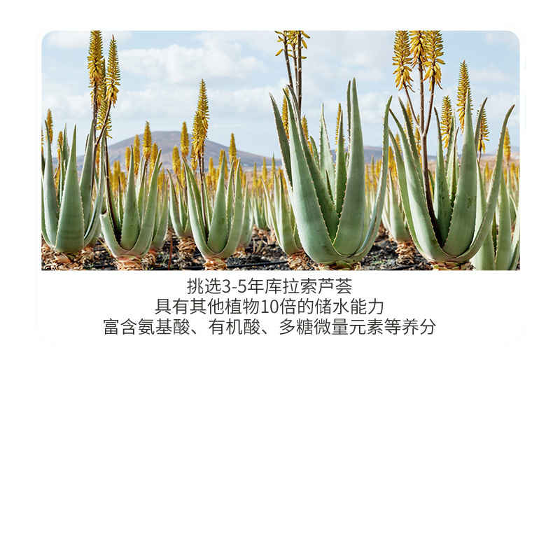 Aloe Vera Gel Hydrating and Moisturizing Aloe Vera Gel Soothing Skin Care Products Shake Tone with Cosmetics Manufacturers