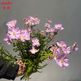 仿真绿植;植物工艺品;仿真枝叶和树