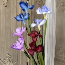 2�^�����Sβ����c���滨���üҾ��bٻ��Ƶ�ܛ�b�廨�zӰ����