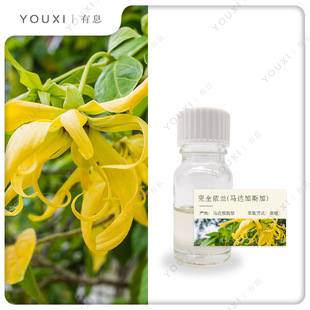 ��ȫ���m�η����� �R�_��˹���M��YlangYlang Complete