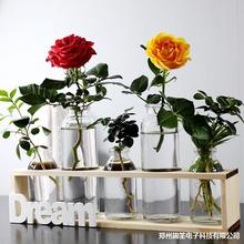 摆件水培桌面器皿花盆植物创意植物花瓶插花办公室器玻璃绿萝水培
