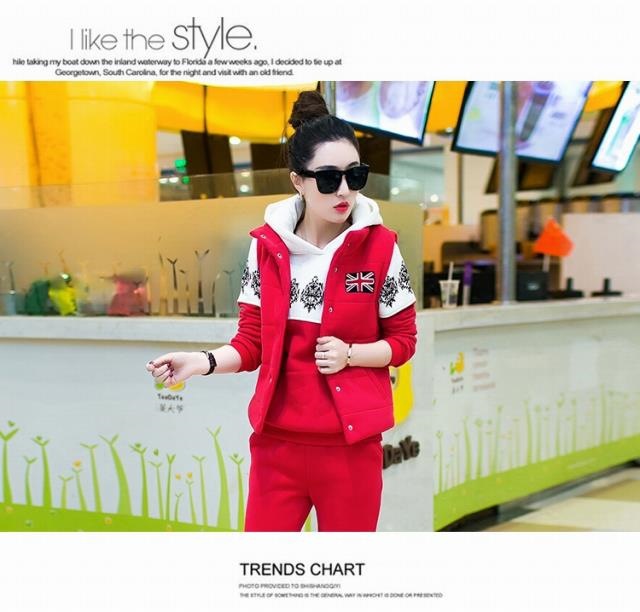 Hoodie Image 4