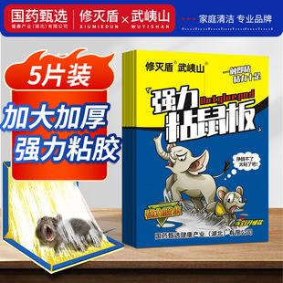 ճ��岶���������Nճ���z��������������҃ȑ������