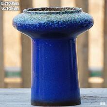 ��ڏ����⻨����º��s������Ϙ���ľ��Gֲ΢Ģ���չ޻�偾Gɫ