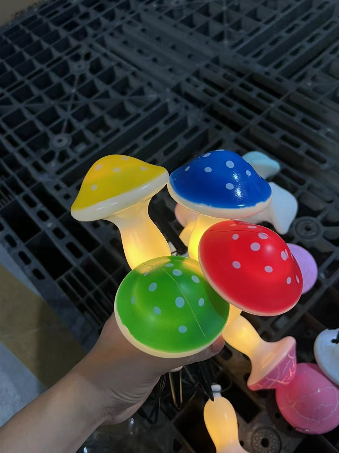 다채로운 점박이 버섯