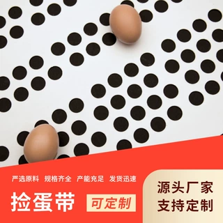定制白色pp捡蛋带集蛋带 打孔式鸡蛋输送带 鸡蛋输送机用集蛋带