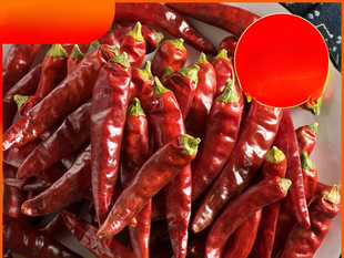 ʯ���t5̖������500g���� �ؑc�خa�ɼ����r�һ�����������t����