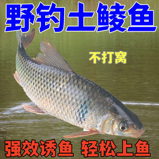 �����N�����V�|Ұ�̩�N�t���~����ˮ�����ͨ���~�D
