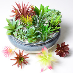 新しい模擬植毛多肉植物の小さな鉢植え、リビングルーム、オフィス、家の装飾、造花、クリエイティブな置物、盆栽