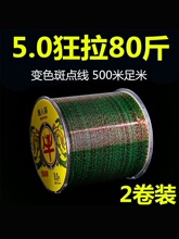 �~��500���������c�����͒��Ųួz���Ӿ�·���������������O��