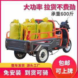 新款国标小型电动三轮车农用拉货山区爬坡老人代步家用摆摊电瓶车