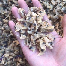 ����������� �ܽ���չ���ؔ��oɳ�����⻨�����