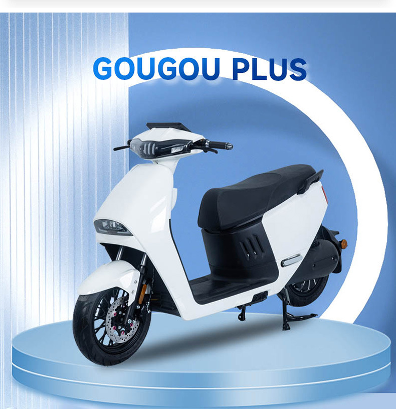 Cross-Border Foreign Trade Electric Vehicles, Foreign Commuting Electric Motorcycles, Electric Bicycles, Export of Electric Vehicles to Russia