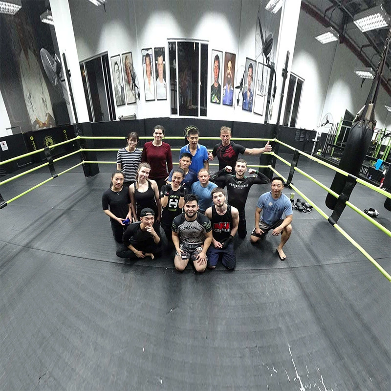 Профессиональный ринг для ММА, бокса, саньда, восьмиугольная клетка для тренировок и соревнований, свободный бой, ринг для боев