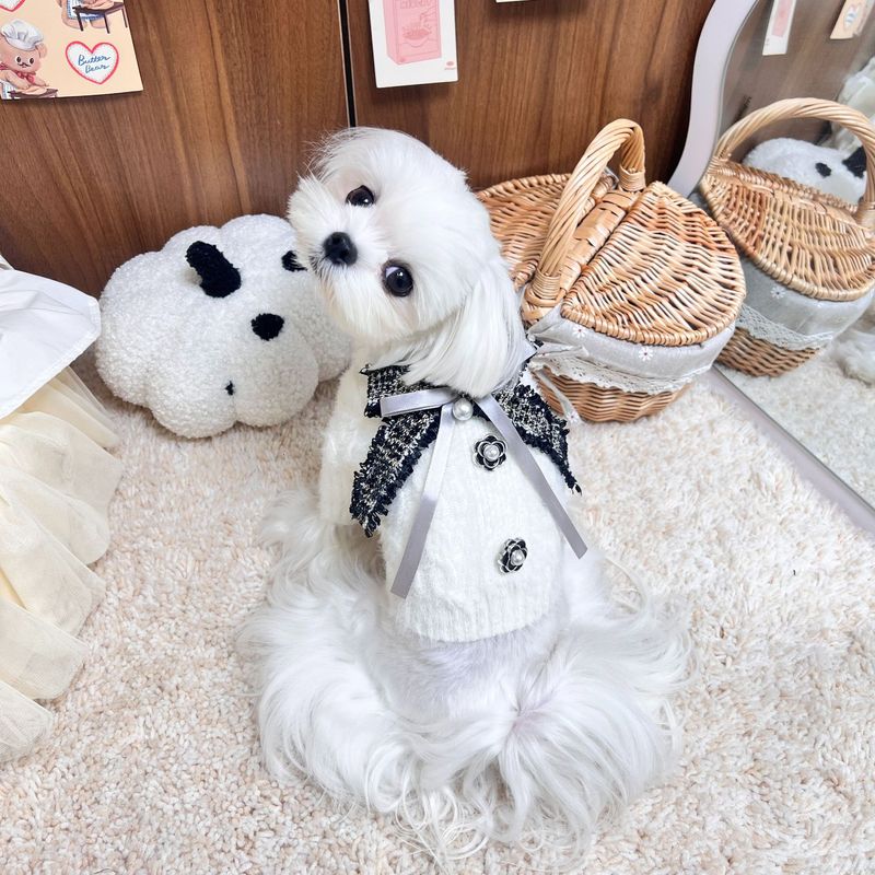 狗狗秋冬衣服猫咪泰迪雪纳瑞针织毛衣法式小香风套头衣服垮境现货|undefined