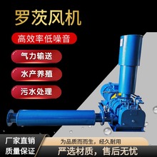 三叶罗茨风机厂家直销污水处理水产养殖专用直连罗茨鼓风机