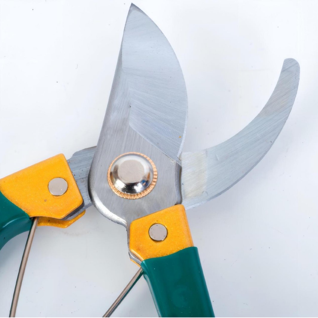 O1CN01lgeRgu1rj59OWY7P5_!!2217982725666-0-cib.jpg?__r__=1742205923402