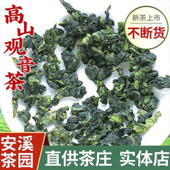 福建省高山安渓鉄観音茶加工強い香りの蘭の香り代替茶ウーロン新茶ミルクティー原料