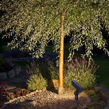 ?LED�����ˮ����24V/220V�՘�����@�e��ͥԺ���@���^��ƺ��