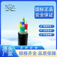 �㽭����YJV/VV95ƽ����о2о3о4о5о���˼��~�����|