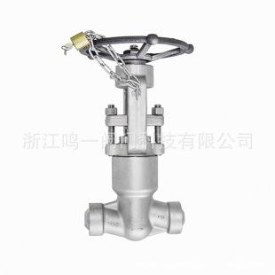 ���߉�3000LB���P�F316H�������ܷ��ֹ�y�����Ծoʽ��ֹ�y�S��